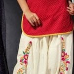 embroidered salwar pants