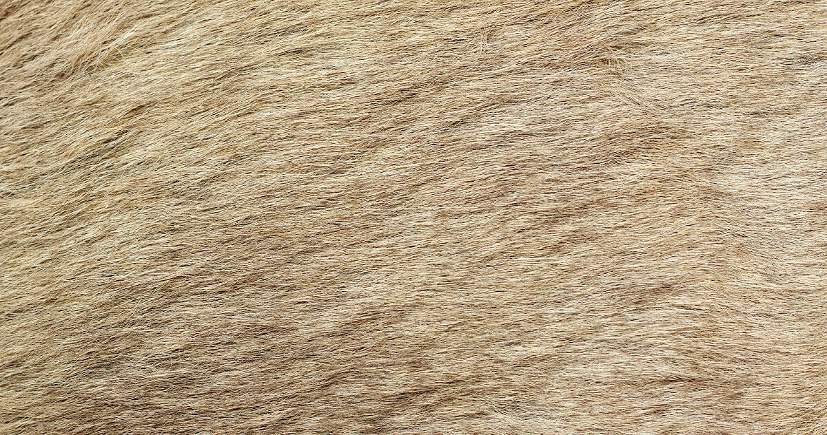 fur fabric.