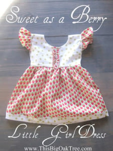 Sweet as berry little girl dress